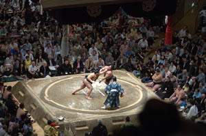 Sumo